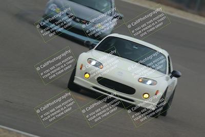 media/Dec-19-2025-Lucky Dog Racing (Fri) [[3b7b1b5fc8]]/Intermediate Low/Session 3 Turn 2 Speed Pan/